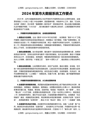 2024年某市大数据系统工作要点