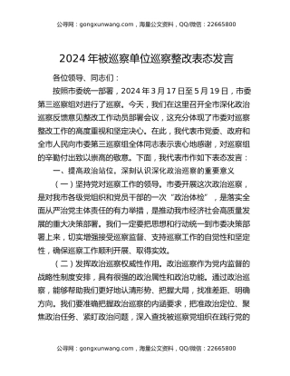2024年被巡察单位巡察整改表态发言