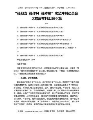 “强担当  强作风  强本领”攻坚冲刺动员会议发言材料汇编6篇