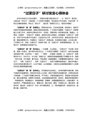 “过紧日子”研讨发言心得体会