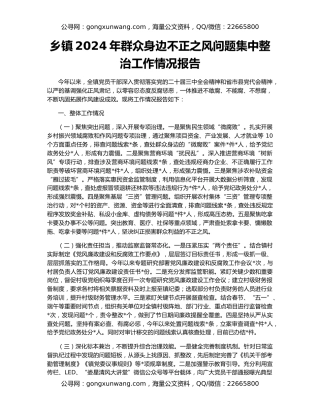 乡镇2024年群众身边不正之风问题集中整治工作情况报告