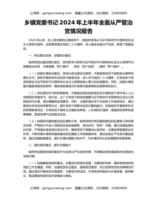 乡镇党委书记2024年上半年全面从严管治党情况报告