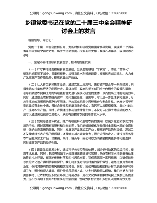 乡镇党委书记在党的二十届三中全会精神研讨会上的发言