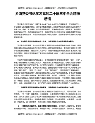 乡镇党委书记学习党的二十届三中全会精神感悟