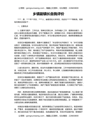 乡镇副镇长自我评价