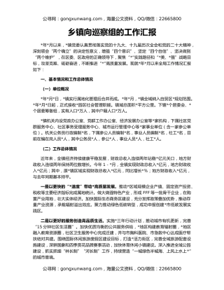 乡镇向巡察组的工作汇报