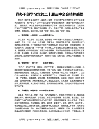 党办干部学习党的二十届三中全会精神感悟