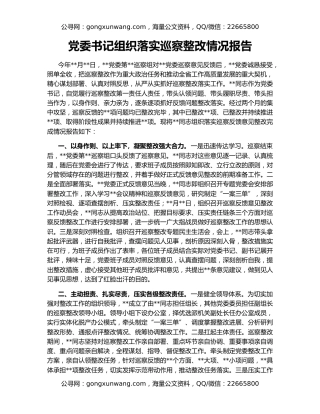 党委书记组织落实巡察整改情况报告