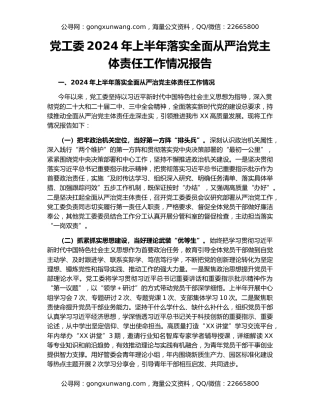党工委2024年上半年落实全面从严治党主体责任工作情况报告