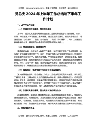 党总支2024年上半年工作总结与下半年工作计划