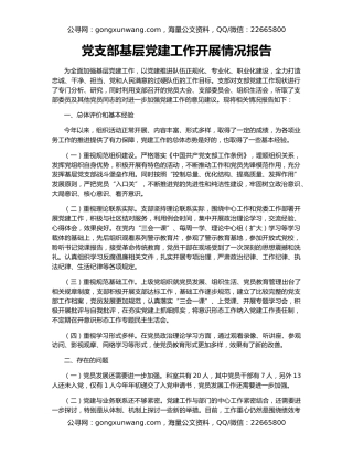 党支部基层党建工作开展情况报告