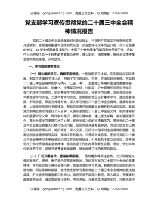 党支部学习宣传贯彻党的二十届三中全会精神情况报告