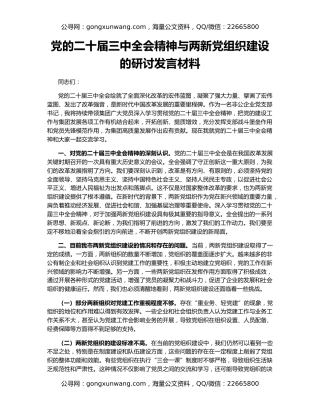 党的二十届三中全会精神与两新党组织建设的研讨发言材料