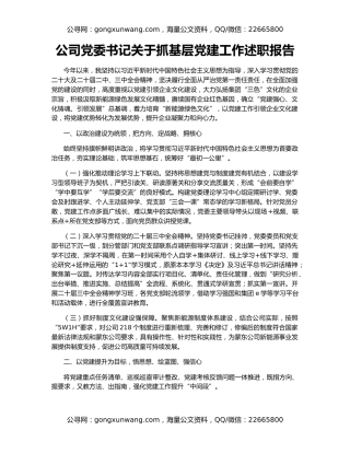 公司党委书记关于抓基层党建工作述职报告