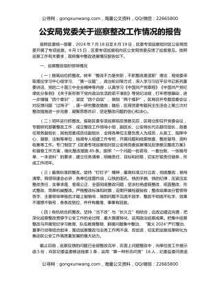 公安局党委关于巡察整改工作情况的报告