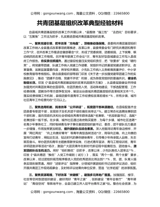 共青团基层组织改革典型经验材料
