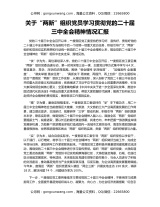 关于“两新”组织党员学习贯彻党的二十届三中全会精神情况汇报