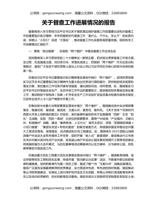 关于督查工作进展情况的报告