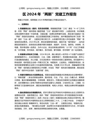 区2024年“两新”党建工作报告