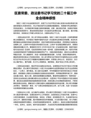 区委常委、政法委书记学习党的二十届三中全会精神感悟