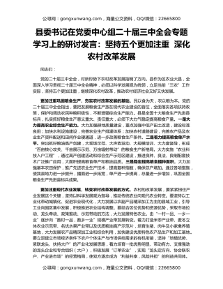 县委书记在党委中心组二十届三中全会专题学习上的研讨发言：坚持五个更加注重  深化农村改革发展