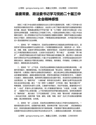 县委常委、政法委书记学习党的二十届三中全会精神感悟