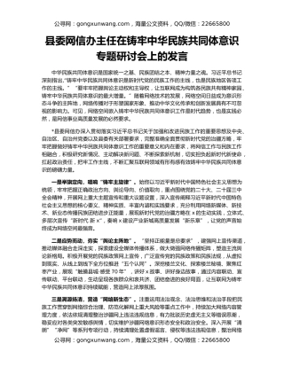 县委网信办主任在铸牢中华民族共同体意识专题研讨会上的发言