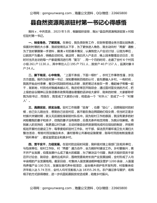 县自然资源局派驻村第一书记心得感悟