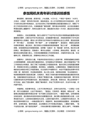 参加局机关青年研讨培训班感悟