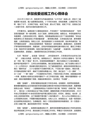 参加省委巡视工作心得体会