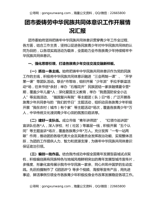 团市委铸劳中华民族共同体意识工作开展情况汇报