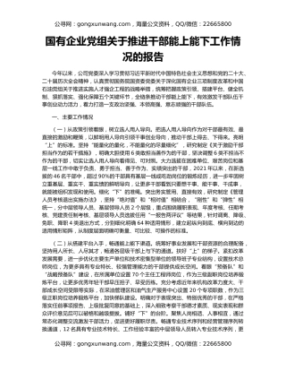 国有企业党组关于推进干部能上能下工作情况的报告