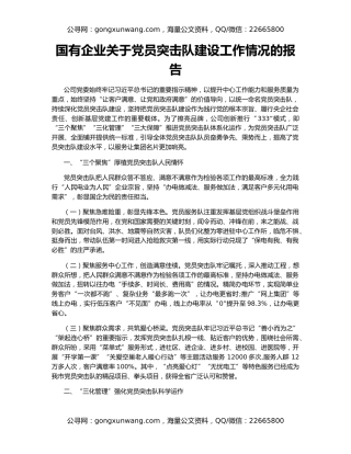 国有企业关于党员突击队建设工作情况的报告