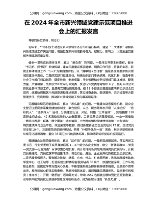 在2024年全市新兴领域党建示范项目推进会上的汇报发言