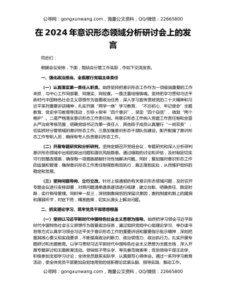 在2024年意识形态领域分析研讨会上的发言