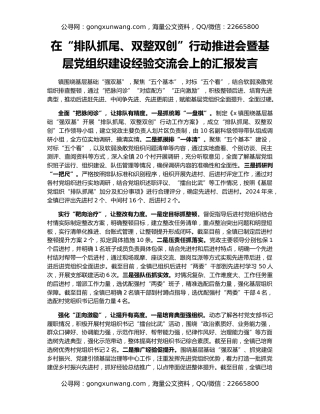 在“排队抓尾、双整双创”行动推进会暨基层党组织建设经验交流会上的汇报发言