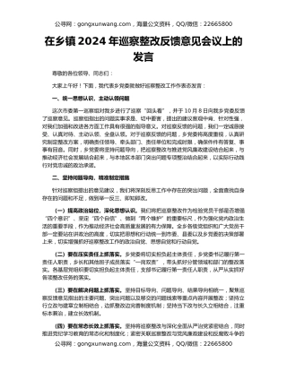 在乡镇2024年巡察整改反馈意见会议上的发言