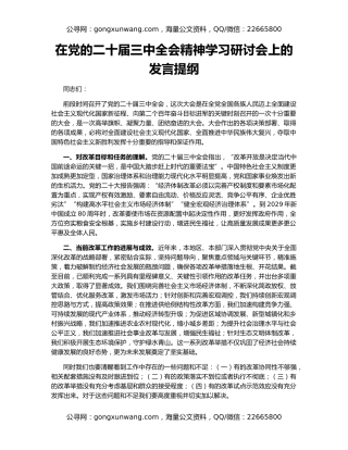 在党的二十届三中全会精神学习研讨会上的发言提纲