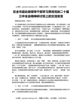 在全市县处级领导干部学习贯彻党的二十届三中全会精神研讨班上的交流发言（2）