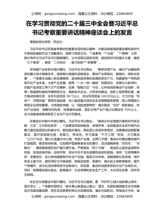 在学习贯彻党的二十届三中全会暨习近平总书记考察重要讲话精神座谈会上的发言