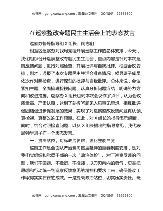 在巡察整改专题民主生活会上的表态发言