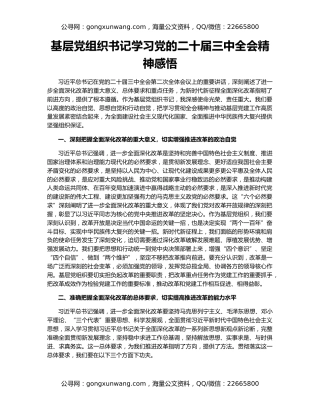 基层党组织书记学习党的二十届三中全会精神感悟