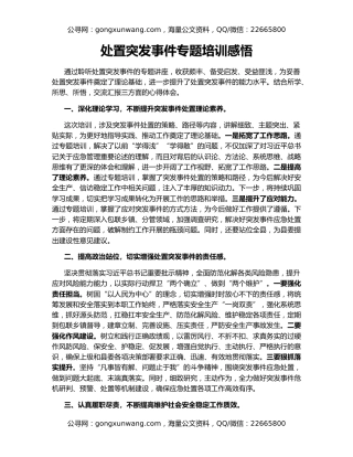 处置突发事件专题培训感悟