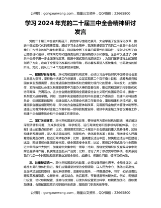 学习2024年党的二十届三中全会精神研讨发言