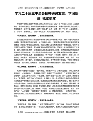 学习二十届三中全会精神研讨发言：学深悟透  抓紧抓实
