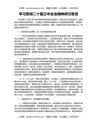 学习贯彻二十届三中全会精神研讨发言