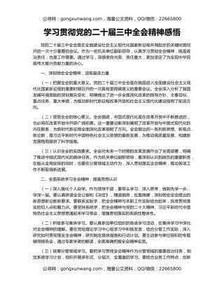 学习贯彻党的二十届三中全会精神感悟