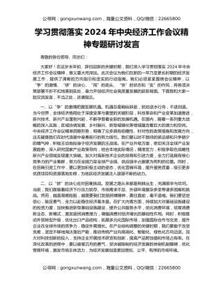 学习贯彻落实2024年中央经济工作会议精神专题研讨发言