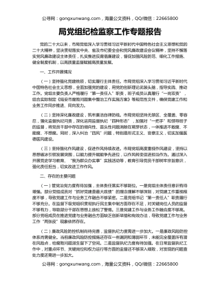 局党组纪检监察工作专题报告