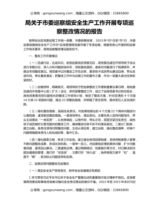 局关于市委巡察组安全生产工作开展专项巡察整改情况的报告